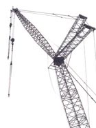 crane